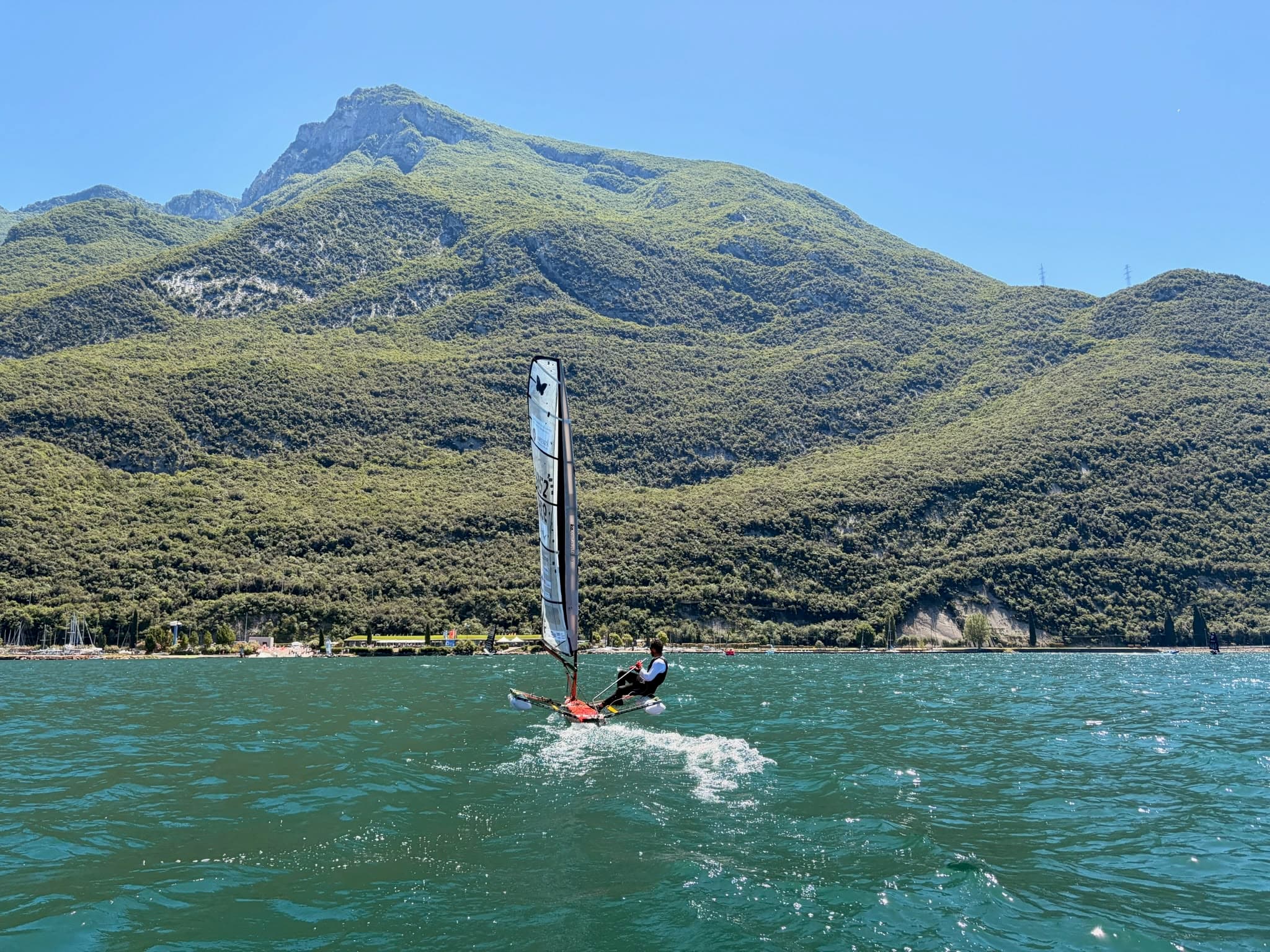 Sapienza Foiling Moth in flight
